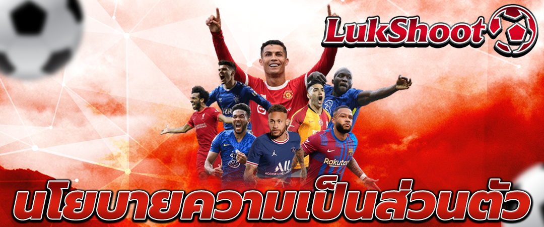 นโยบายความเป็นส่วนตัว